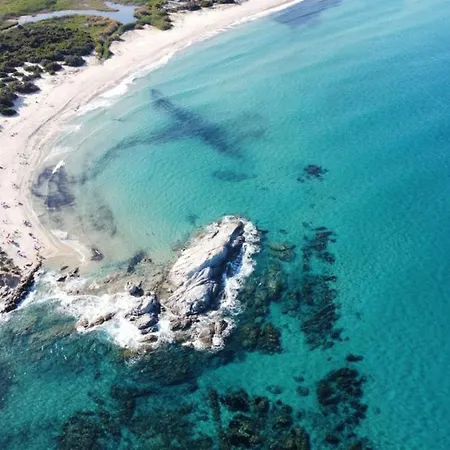 アパート Fonny Vacation Ever